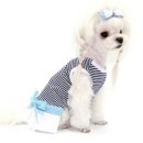 도로시 퍼피 이미지