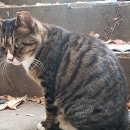 위드동물병원 이미지