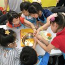 선운초교 이미지