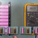 셀라이프 이미지