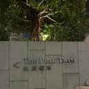 로드 (Road) 27 | 홍콩 피크트램 가는법 예약 가격 팁: 스카이테라스 428 마감 및 무료 전망대 후기