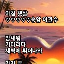 아침햇살 이미지