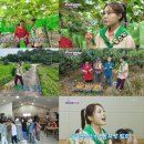 석화농장 CBC뉴스