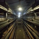 금포농장 이미지