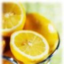 레몬트리 이미지