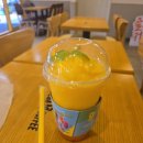 커피톡톡 | 🍊 상주 북천교 메가커피 방문기 – 귤톡톡 젤리 스무디 20%할인 후기