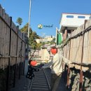 꽁냥꽁냥캣 | 산방산근처 이색카페 비밀역 제주아이들과가기좋은카페