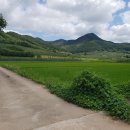 귀촌공인중개사사무소 이미지