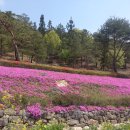 화순 고인돌 축제 입니다 이미지