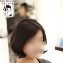 민들레헤어샵 - 성동구 | 민들레헤어샵