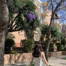 리브플러스 이미지