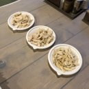 숨터펜션 | [일상]5월의 소소한 일상 그리고 무스, 무디의 산책🧡