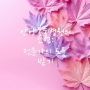 안양동물병원 이미지