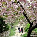 용현목장 이미지