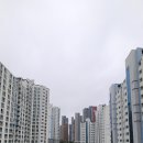 신암페인트