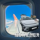 제주도 렌트카 픽업 최저가 제주더렌트카 추천 애견동반
