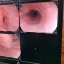 영광종합병원 이미지