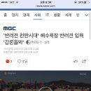 반려견 천만시대&#39; 해수욕장 반려견 입욕 &#39;갑론을박&#39; 이미지