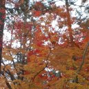 홍길동테마파크 이미지