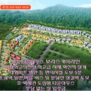 보라스카이타운 이미지