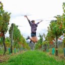 독점농장 이미지