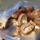 마당바위민박 이미지