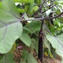 쉼마루민박 이미지