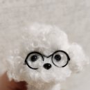 일5컷 이미지
