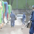 South Korea condemns 'irrational' Japan virus quarantine 이미지