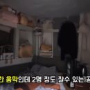 무릉도원면-14 이미지