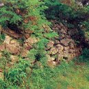 순천-49호 이미지