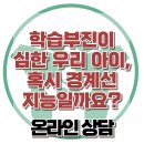 [온라인상담: 학습부진이 심한 우리 아이, 혹시 경계선 지능일까요?] 한국아동청소년심리상담센터 이미지