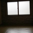 모험레포츠연수원 캠핑장 | [강원도 인제 팬션] 자작나무힐링캠프, 자작나무 여행 숙소 추천!