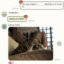 팀비씨알 | RE: [조별과제 희망편]