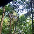 경암근린공원 유아숲체험원 이미지