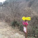정천농원 네이버블로그