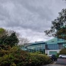 베이컨무브먼트 | [제주 호텔 추천] 제주 WE 호텔, A부터 Z까지 내돈내산