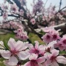 민서네미용실 이미지