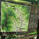 제14차 정기산행 정선 황골계곡 이미지