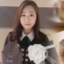 레드로즈빈 이미지