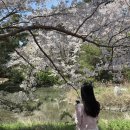 경포힐링하우스 | 강릉 경포호 근처 가볼만한 곳 경포가시연습지(가족, 데이트)