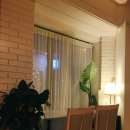 스테이히얼(stay here) 이미지