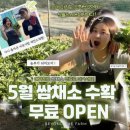 11260-2-37-19 | 하남바베큐 즐기기 좋은 서울근교글램핑 추천, 비욘더팜셀프바베큐장 비오는날 방문후기