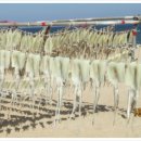 초당동주민센터 이미지