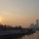 산골기러기 Daum카페