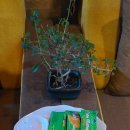 비치스파랜드 이미지