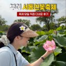 부여 서동연꽃축제 아이와 함께 가볼만한곳 국내여행추천 부여여행코스 궁남지 서동공원