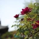 한옥의마음 이미지