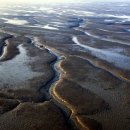 보전간척지 이미지