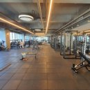 진짜 헬스장 이미지